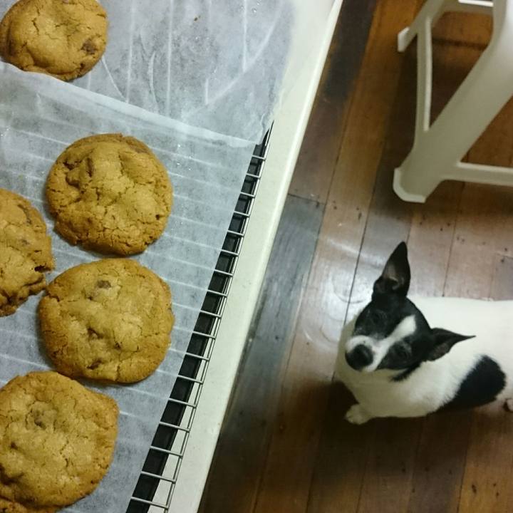 C85dfc8a 99c1 4eee b8f1 3be6c8777ccd