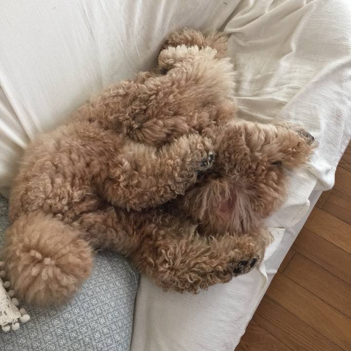 C85e5c61 3bc4 4f18 a45d d944a94110fe