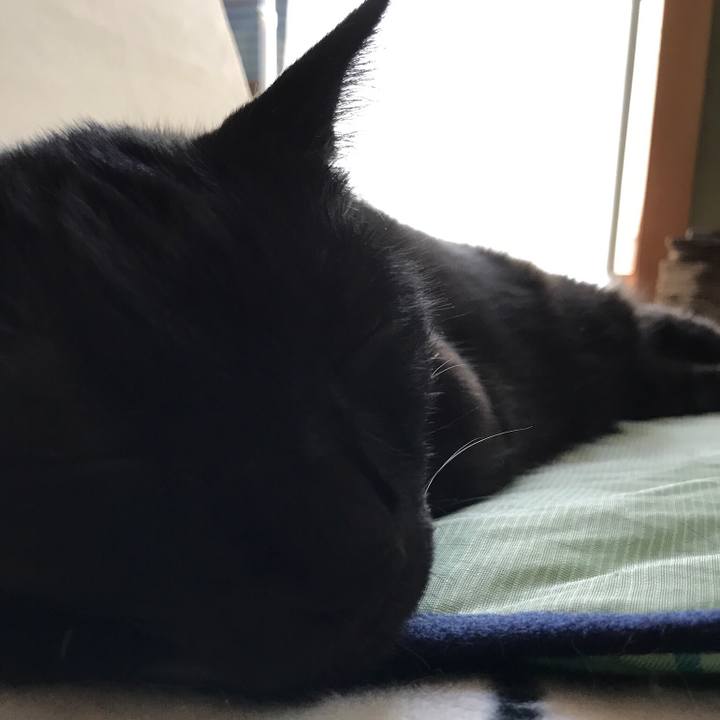 C85ec8b2 90b5 4f5e 969a 81fd46563978