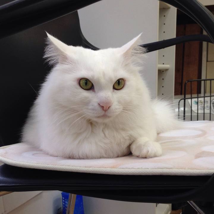 C85f3f7a 04d5 4ec1 93aa 0e4ca75274da