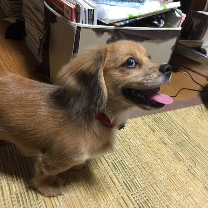 C85f4067 4656 493e a52e 8564fdc61a52