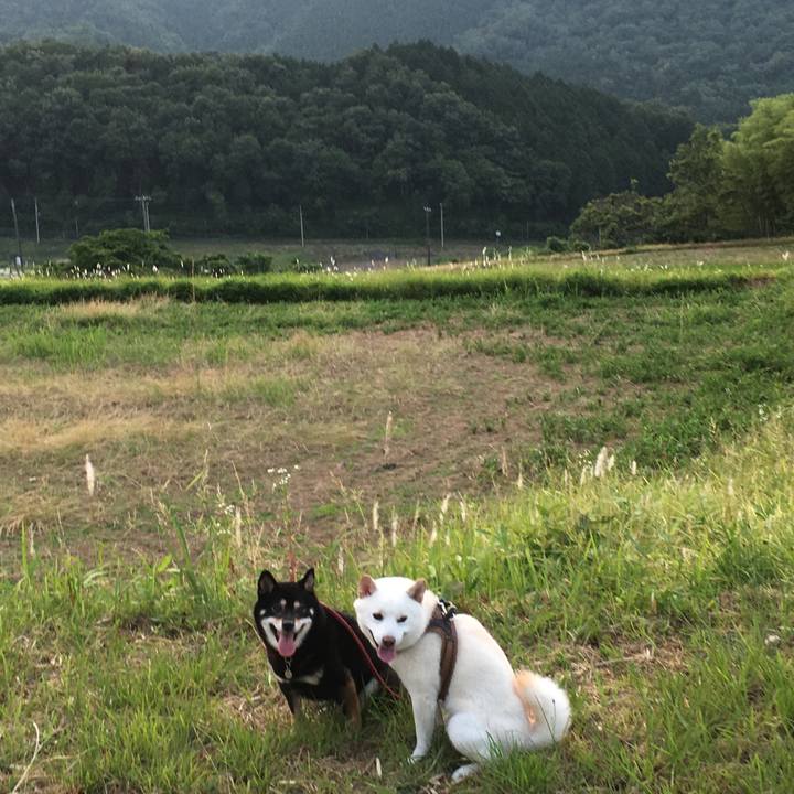 C85f68bd c5bf 4fbf bb7c ae8fec814272