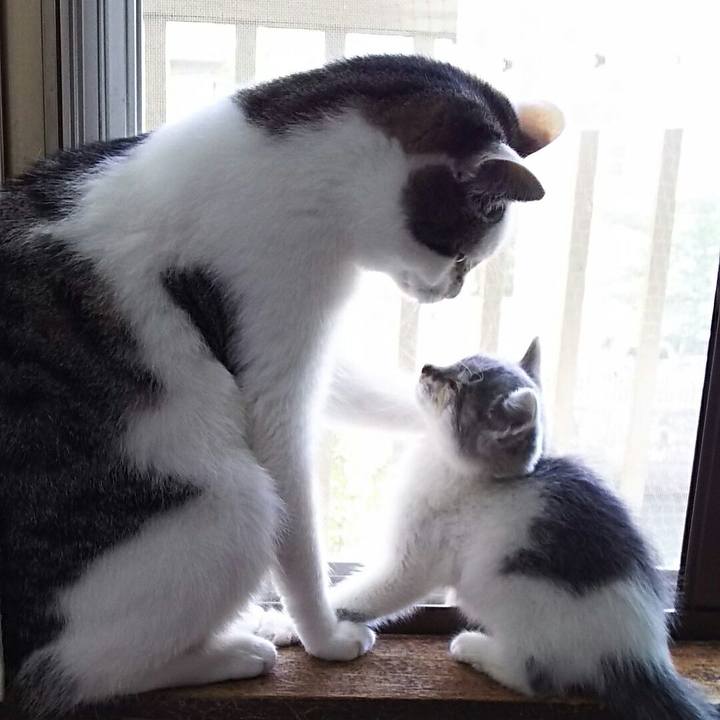 C85f6ed8 73ad 4007 a459 18ea614f167b