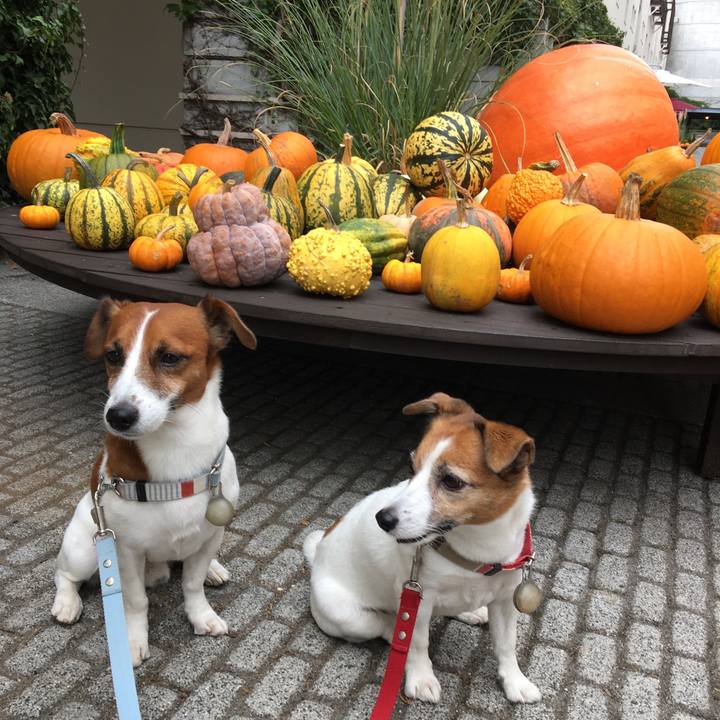 C85f78f5 cbcb 4e3c a169 35643da3c3ac