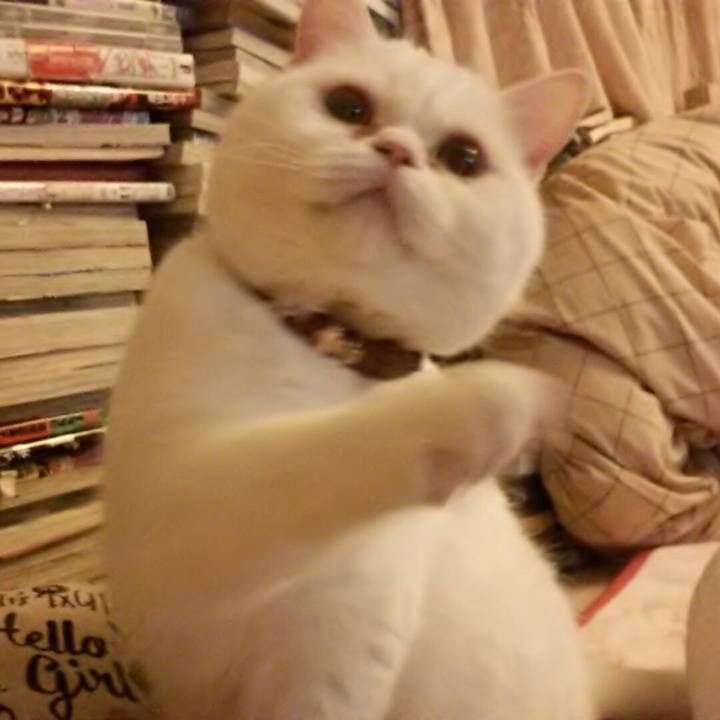 C8603d57 1fa3 49e8 93ac 0cc1d6c55d7b