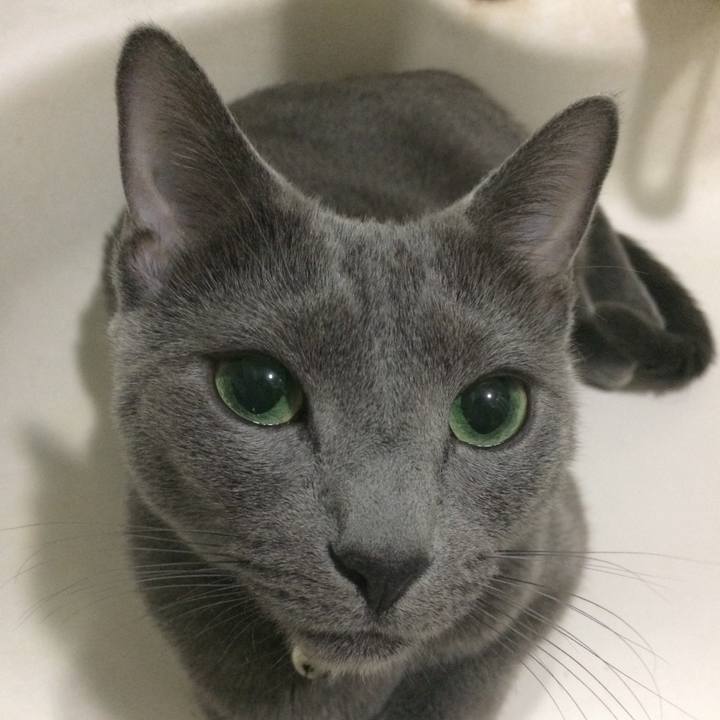 C8605930 9ef2 4724 ae3b 684076d974b4