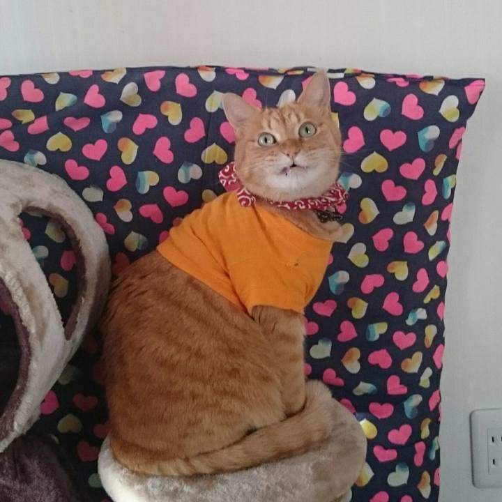 C860ee1b bb2f 4712 a9c2 073a9241d5e7