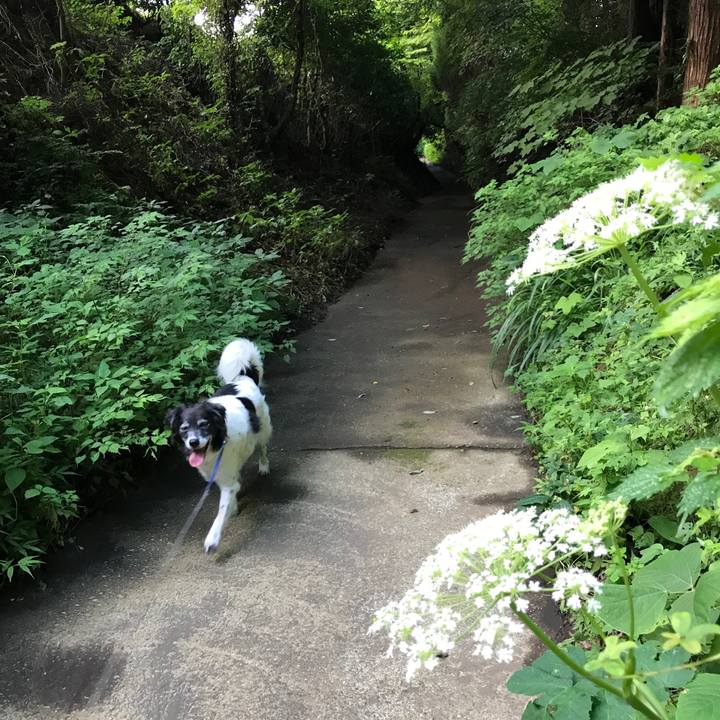 C8613b92 e33c 4eef 8e8b 771c4f0e5f94