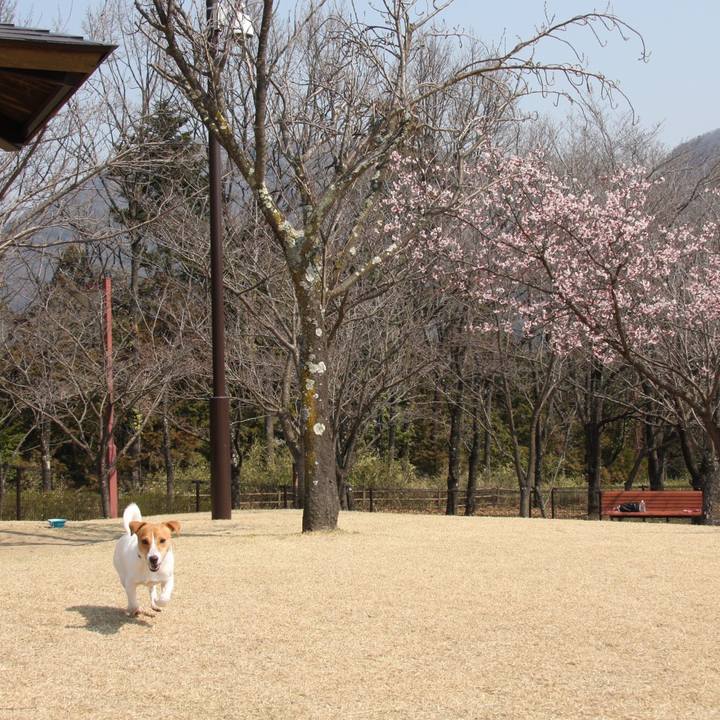 C861590f 81b4 414c 92ca d40d64dfece6