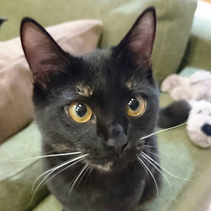 C861bf3f 7c17 4221 9451 1c0d195d9cc7