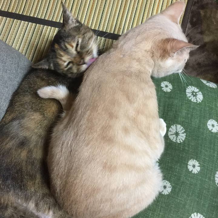 C861d352 a092 46be 9524 2dc2c1744c4c