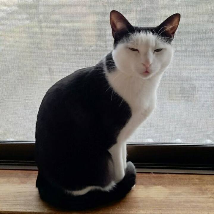 C8624abf c26a 4518 a4f4 7646794ccdb3