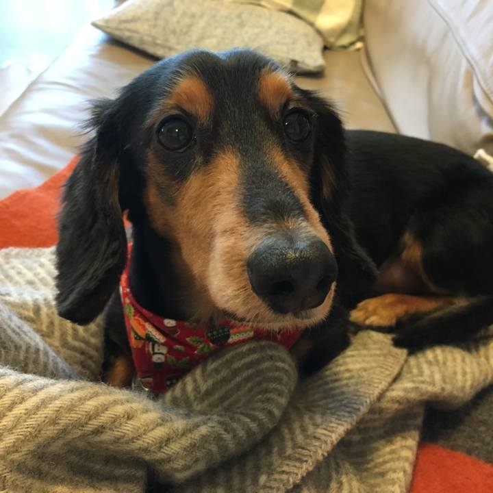 C862ccef 44f7 484e 93e6 a43467914e67