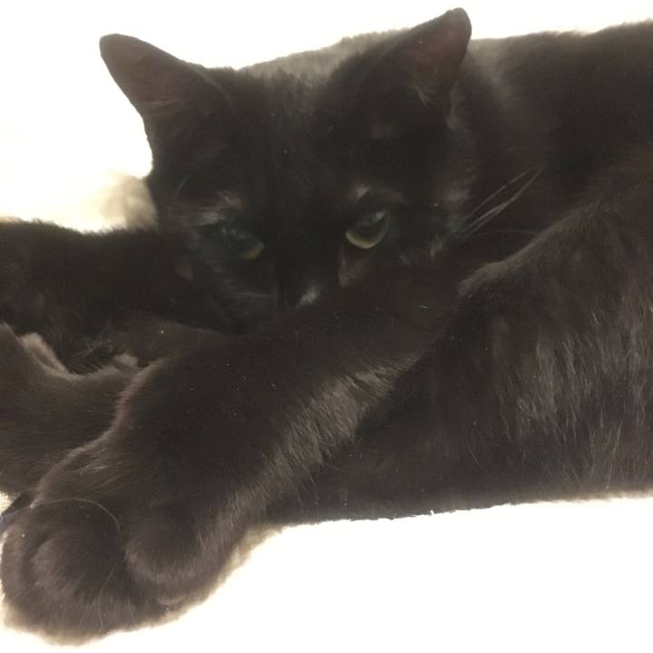 C862eba7 4f18 424b 8ef3 c7e441a2c37b