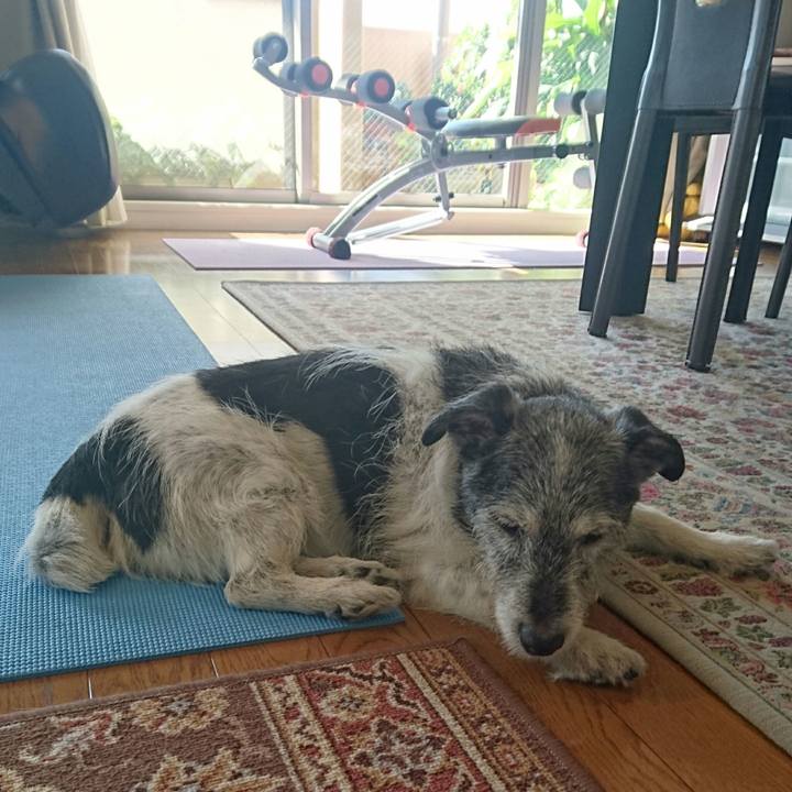 C863221b b08f 4c87 a5cd cb27be1d6ee8