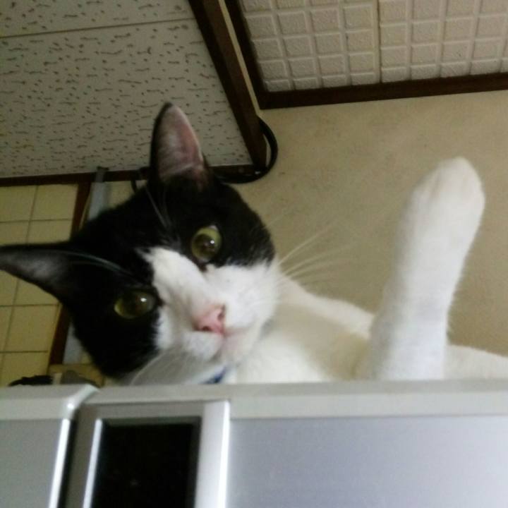 C863c667 d1a7 46b3 923c 3fcf0b40efbf