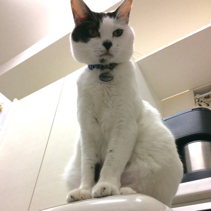 C8662e9f 250d 46fb 9e26 0d5653f73637