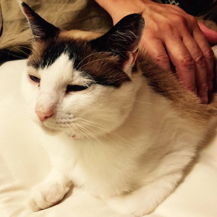 C8663796 50c7 4796 a810 501ab961d6ae