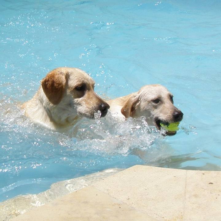 C867377a c254 46f0 85d9 b6ff9eafeb9b