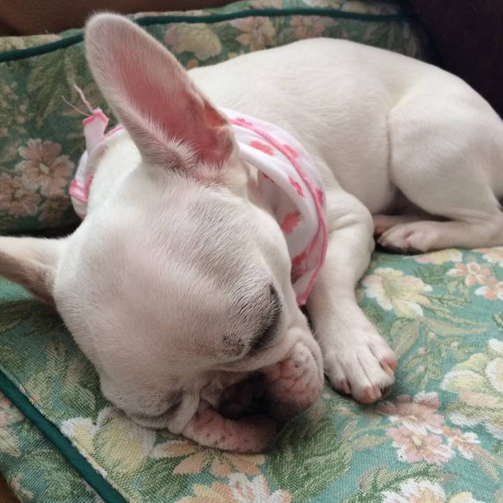 C8674ee5 3f07 4956 9961 7a571e4913a4