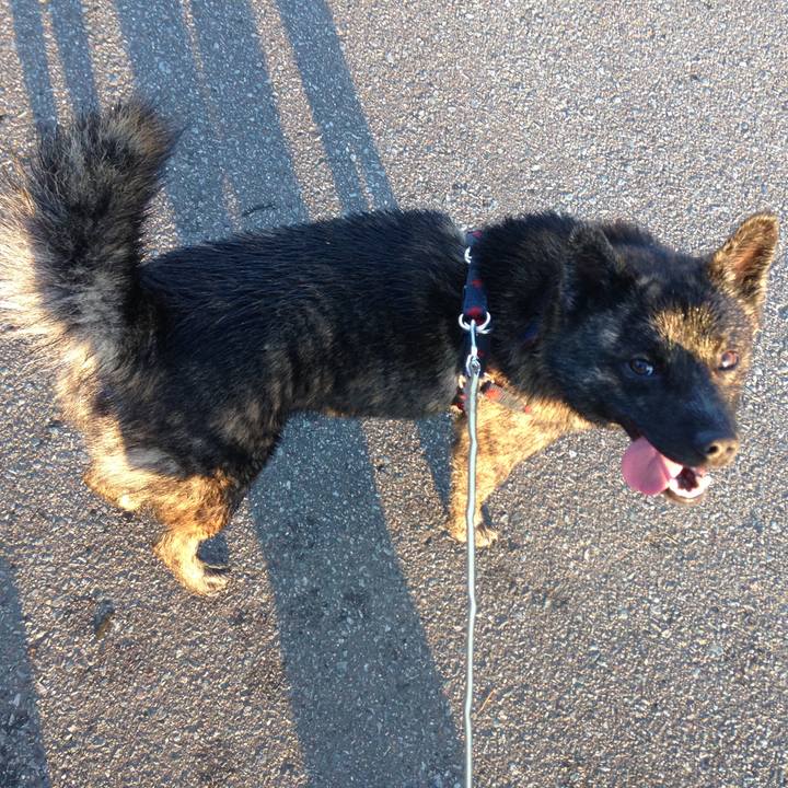 C86879d4 61b7 4d09 8bfb 07266a9e742a