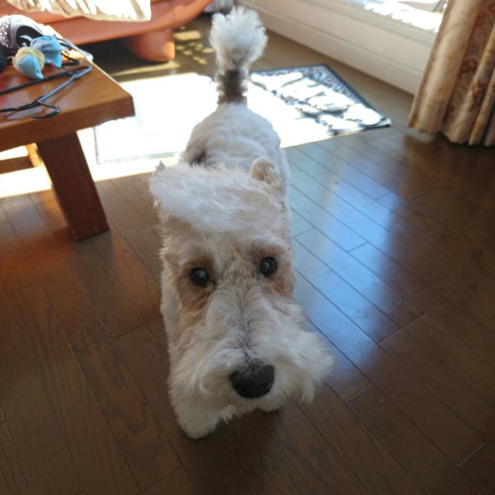 C8687c5f fb51 4ee8 9b5b 9173015b016b