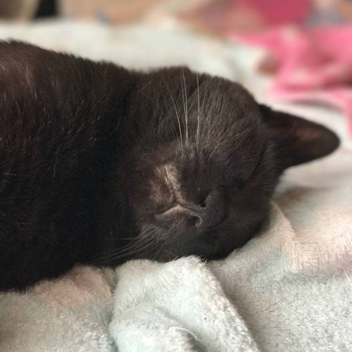 C8687e68 1cf5 4ec1 9e3e a03d6aa25c21