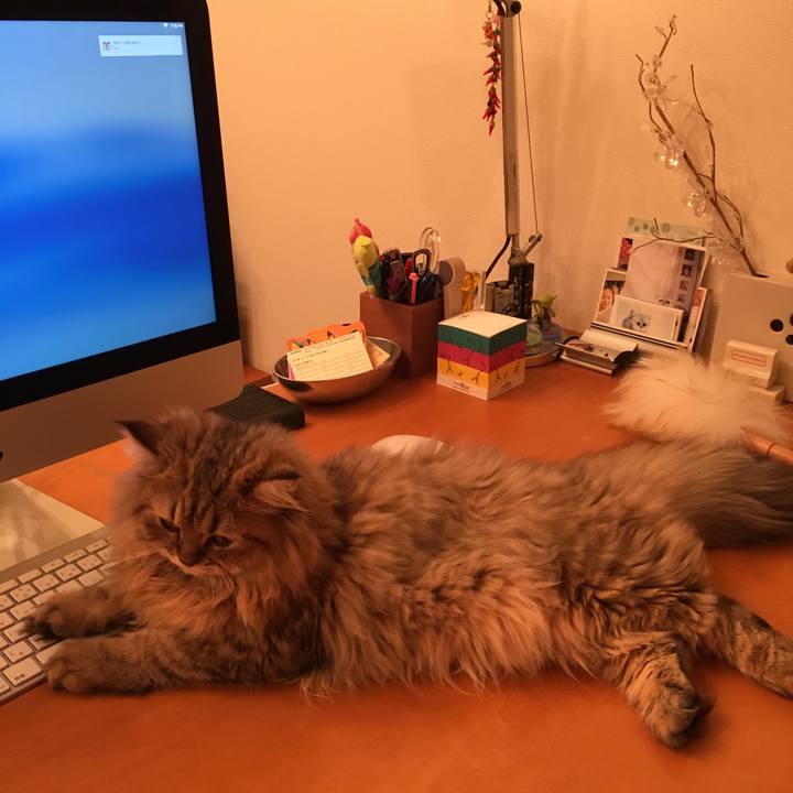 C8688214 c212 4d12 a822 b576fe687d40