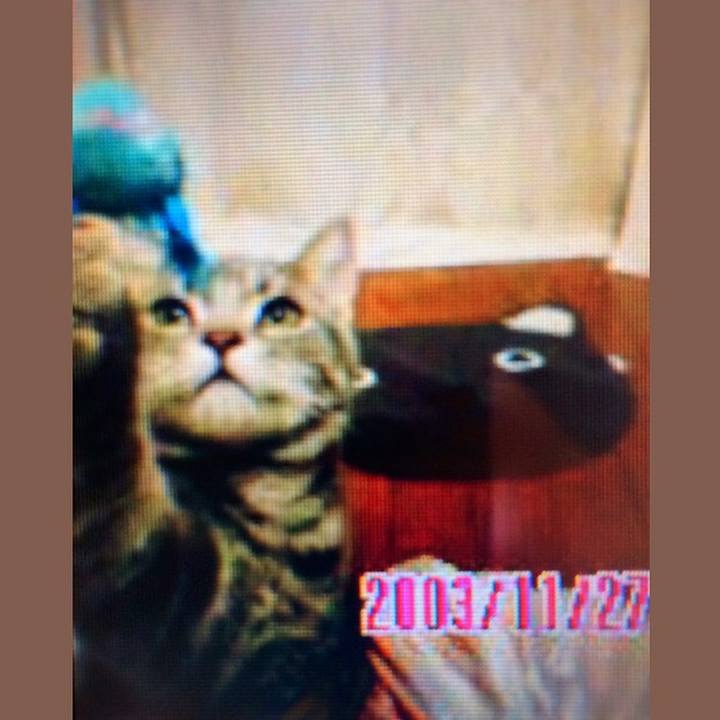 C868a42f 3e61 4109 a585 cac077889ef3