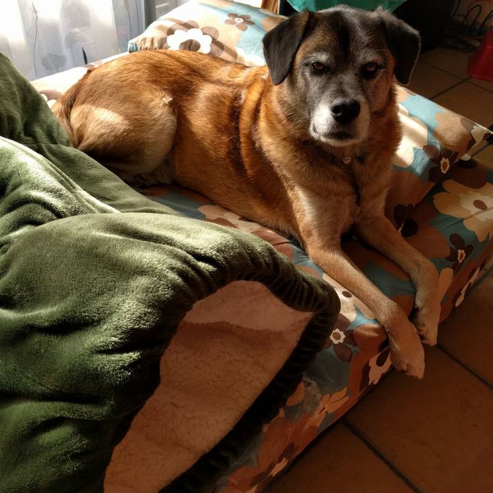 C868ae0f ec90 4e74 9abb 3a951d43bf67