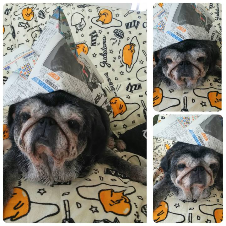 C868cc80 efdd 4076 8d71 3afdc5efd04f