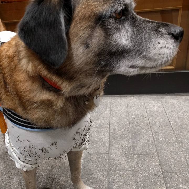 C869a87d c3ca 4778 9d26 a676f457db6e