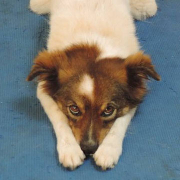 C86a0387 907d 4d1c 850e 328c785f01ac