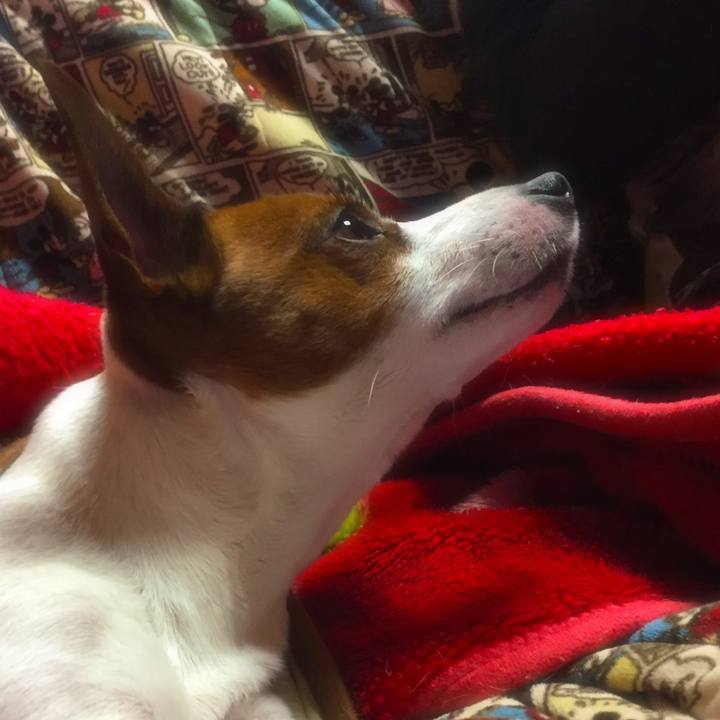 C86a2c67 d13c 4f3d ba03 405af3551583