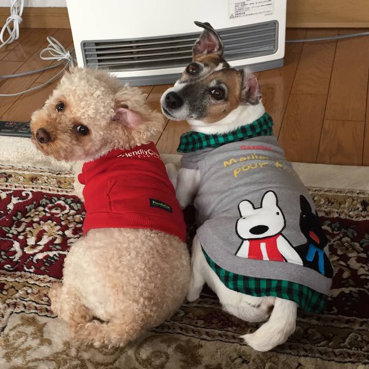 C86a3e71 0eaf 4fc7 b383 f6d75a96f064