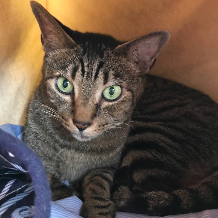 C86ab89a 8966 47b5 8c06 dbe0130b1da1