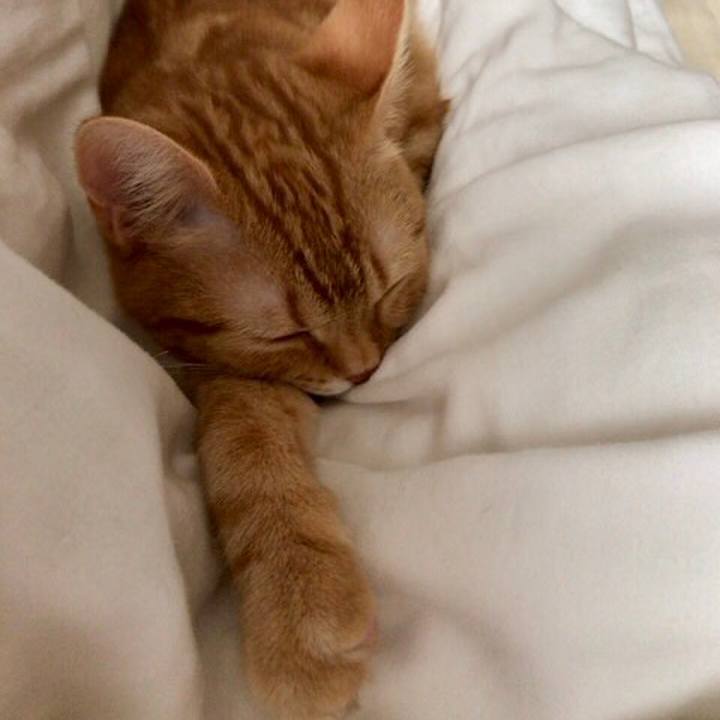 C86b1c1b f52f 4e76 a77c c18a5b134f02