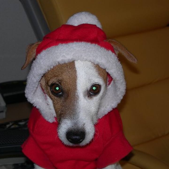 C86b3482 73ee 48ff a8bb 2cbdb0762ca9