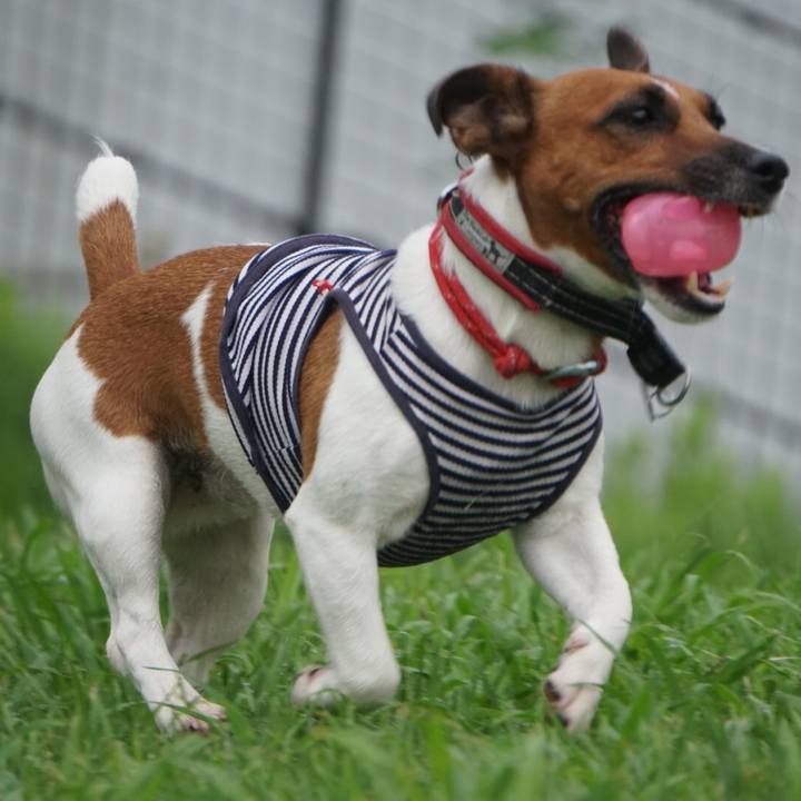 C86b4df1 fa29 4707 8a6d b160b23f5c30