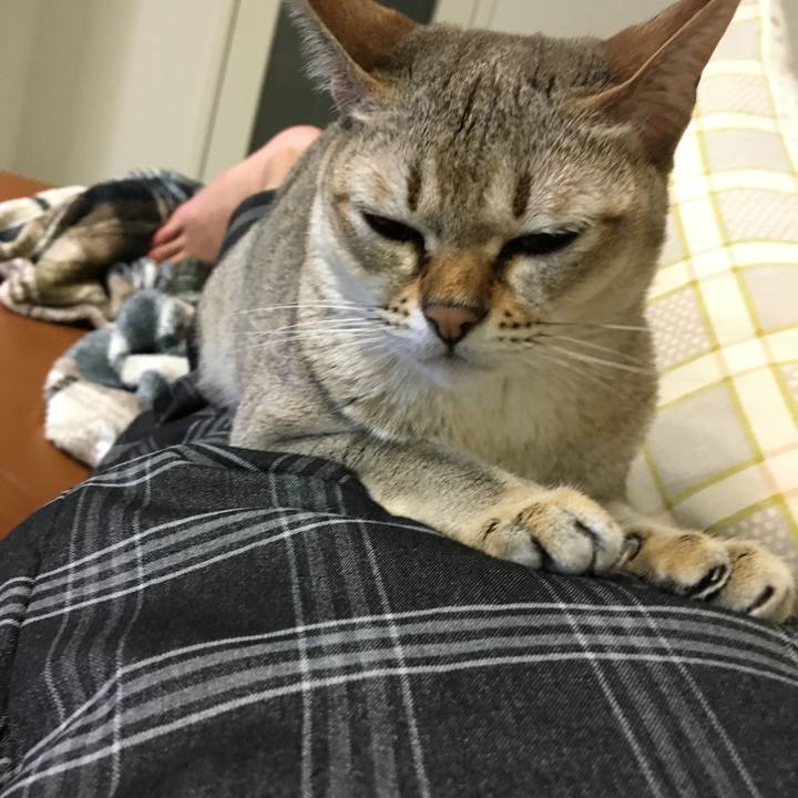 C86b71eb f884 4a9d 890a e3c106aceb06