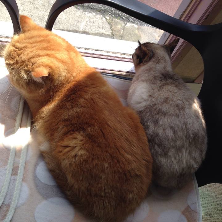 C86b8b6b d1f1 4e62 87ba d0b53ac7d8af