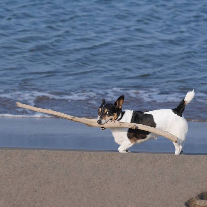 C86c069d ef69 4b8e b79b e7421d92bc20