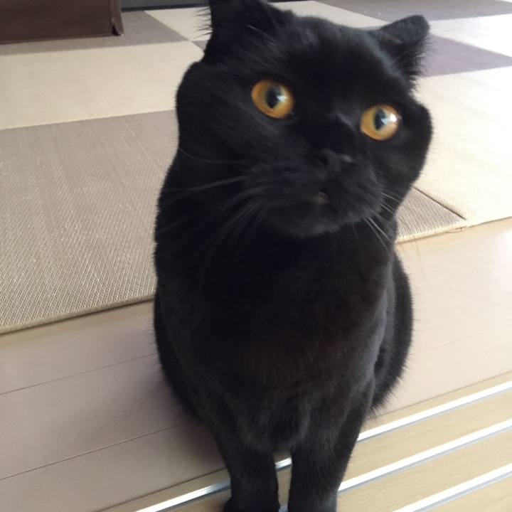 C86c49e5 6b26 48a0 955f 13349987c39d