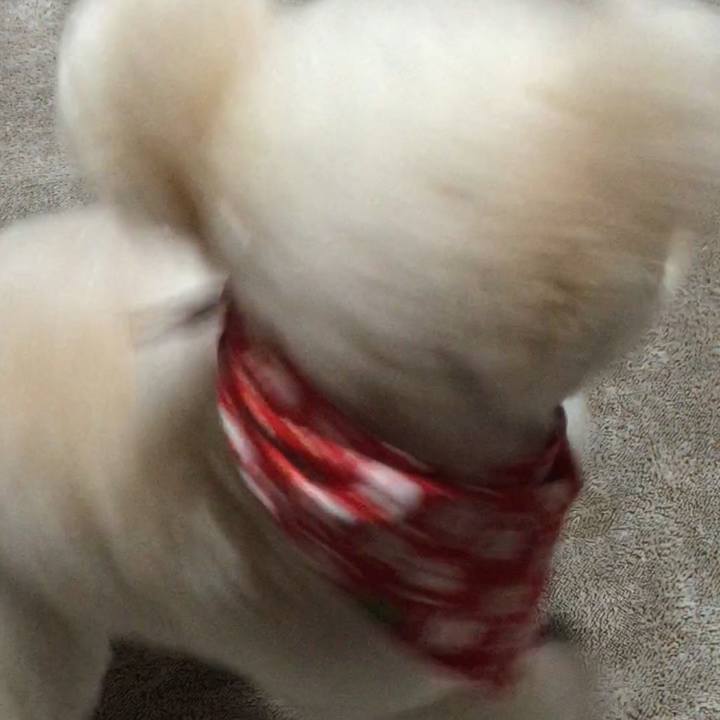 C86c503d 59d9 467f 90f6 d8894d59846a