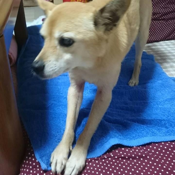 C86cb12d 0f09 46f0 aad7 2e6e00196e86