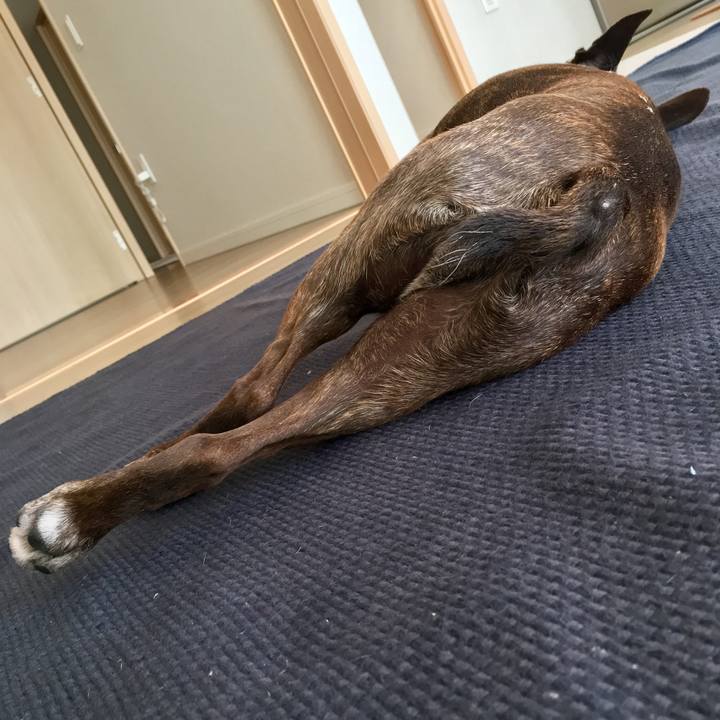 C86d0391 b0ca 40d2 b21a 0f5a2c8f8180