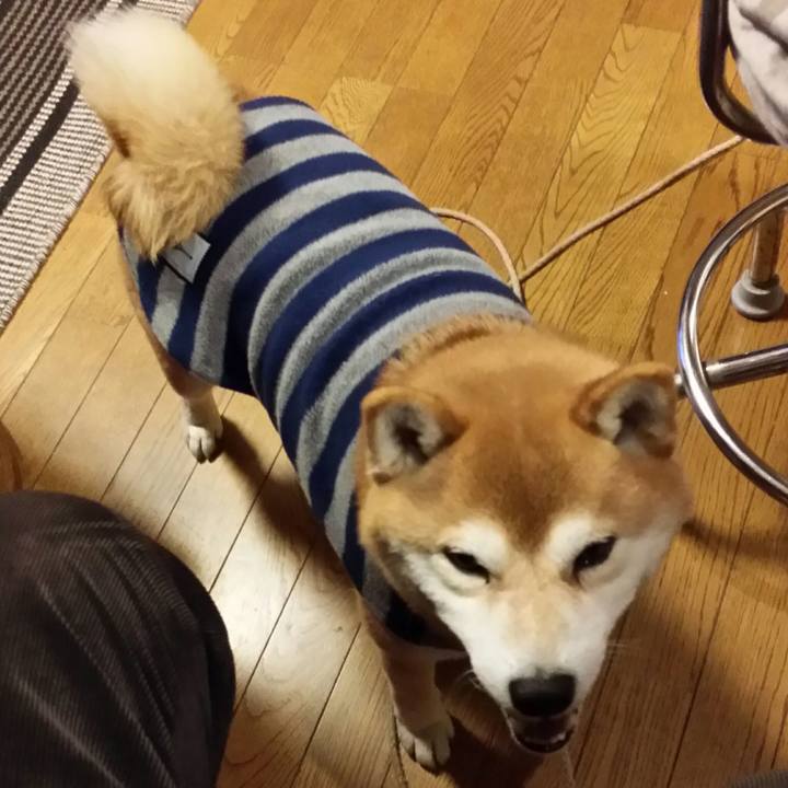 C86d151f b22d 43c1 bb37 019001a39b6a