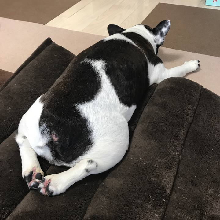 C86d4c1e 2c3b 4a15 84da a29f9b5b81dd