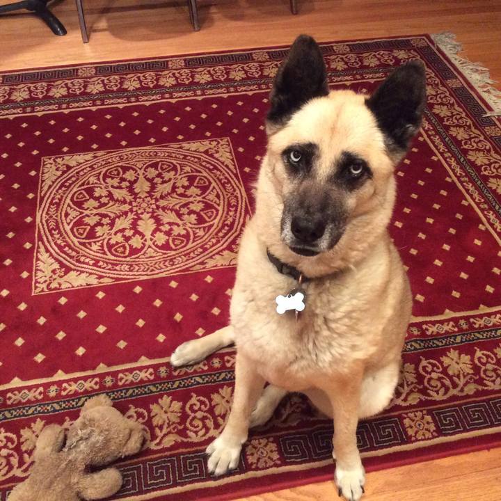 C86e1776 bd34 4843 9848 a5a87a9c01c4