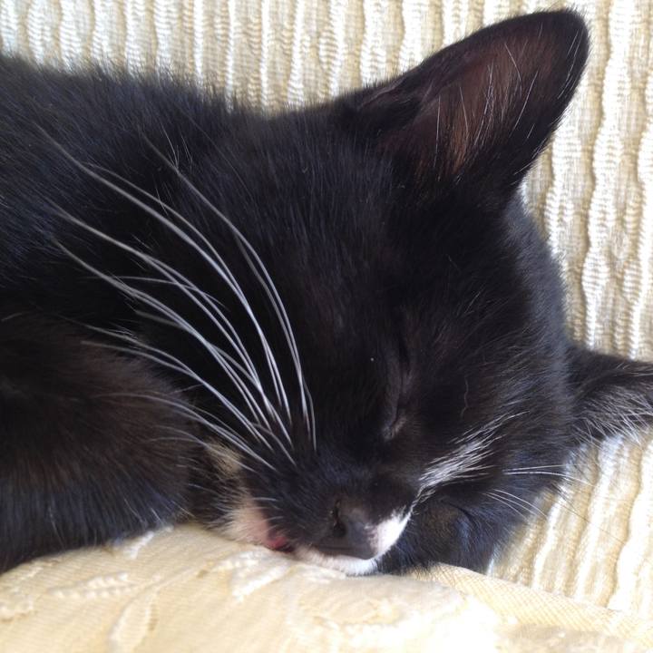 C86f1b6a f4ba 4e90 a7e9 7993eb0ca950